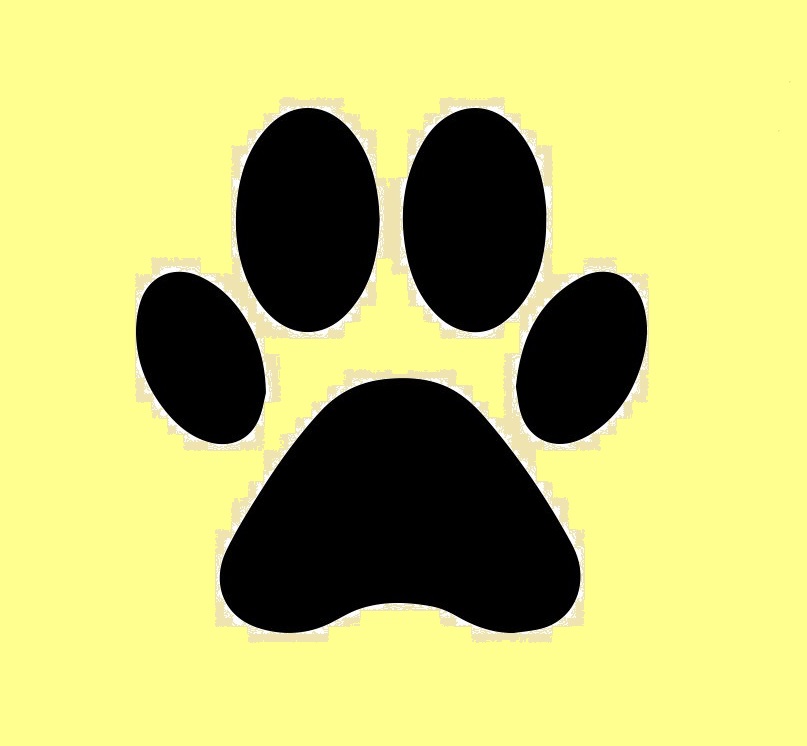 Byliny a směsi pro domácí mazlíčky