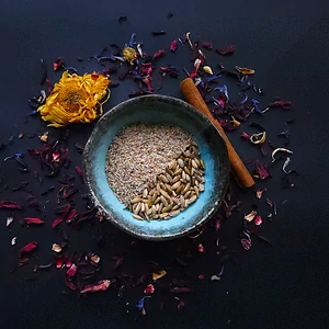 Ostropestřec mariánský - plod