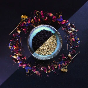 Černý bez plod, květ