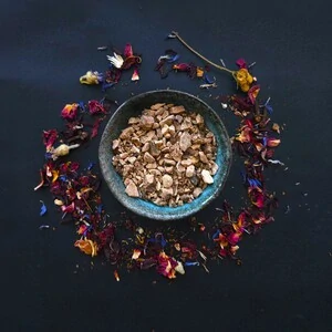 Dioskorea villosa kořen