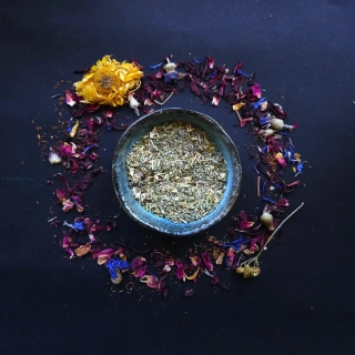 Kotvičník zemní nať