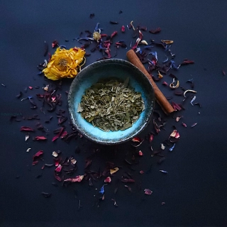 Ginkgo biloba (jinan dvoulaločný) list