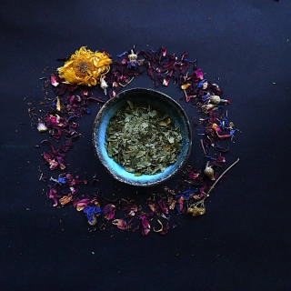 Česnek medvědí list