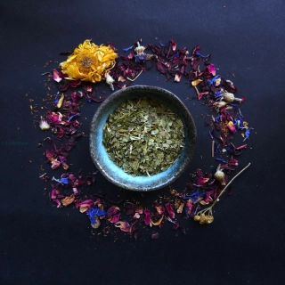 Maté list - Yerba Maté - 200 g