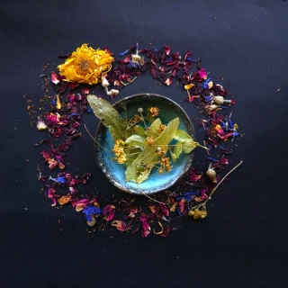 Lípa srdčitá květ – 50 g