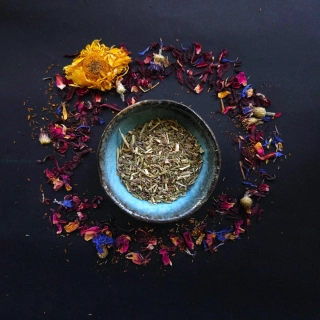 Yzop lékařský nať