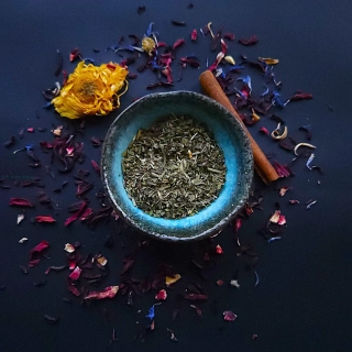 Jitrocel kopinatý list