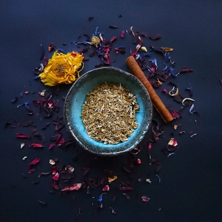 Kopretina řimbaba květ